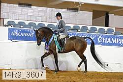 14r9_3607 proof