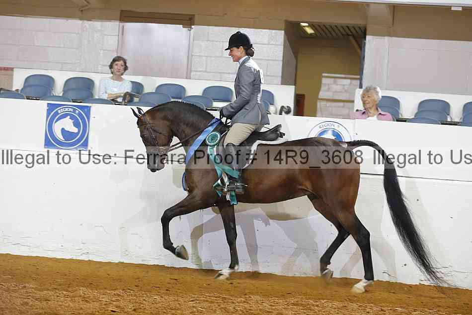 Proof 14r9_3608