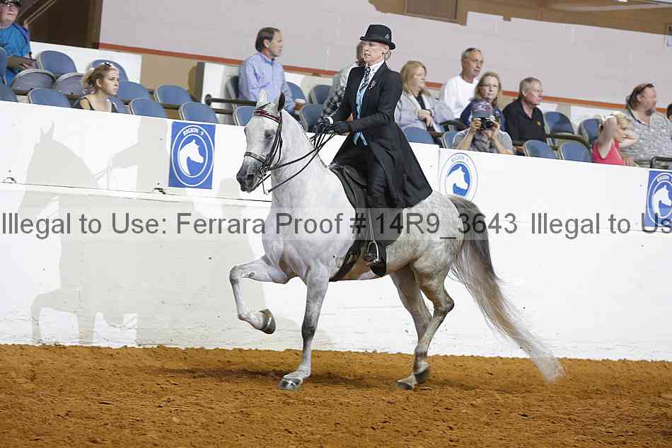 Proof 14r9_3643