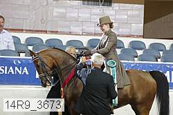 14r9_3673 proof