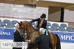 14r9_3686 proof