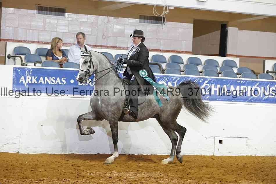 Proof 14r9_3701