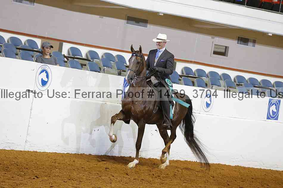 Proof 14r9_3704