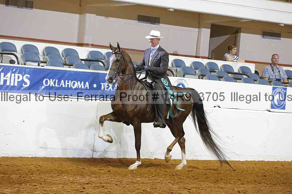Proof 14r9_3705