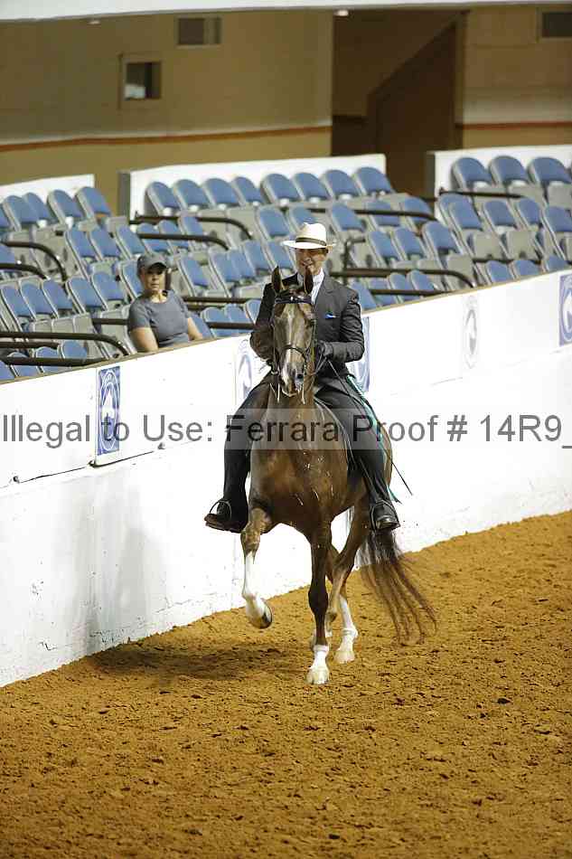 Proof 14r9_3707