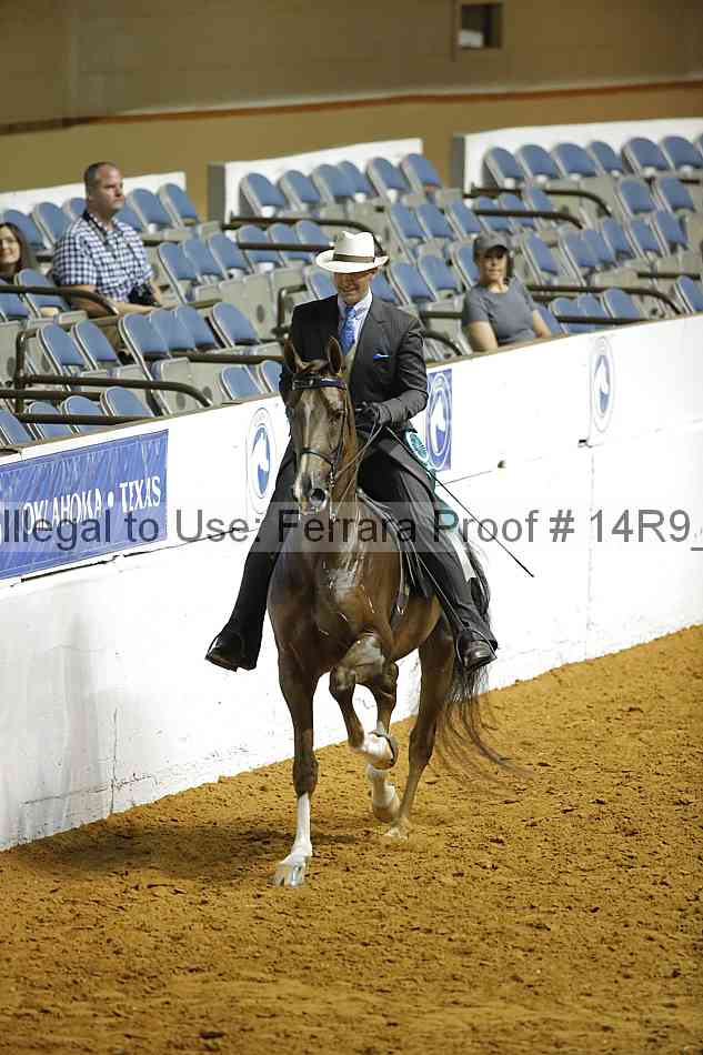 Proof 14r9_3708