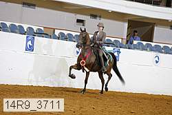 14r9_3711 proof