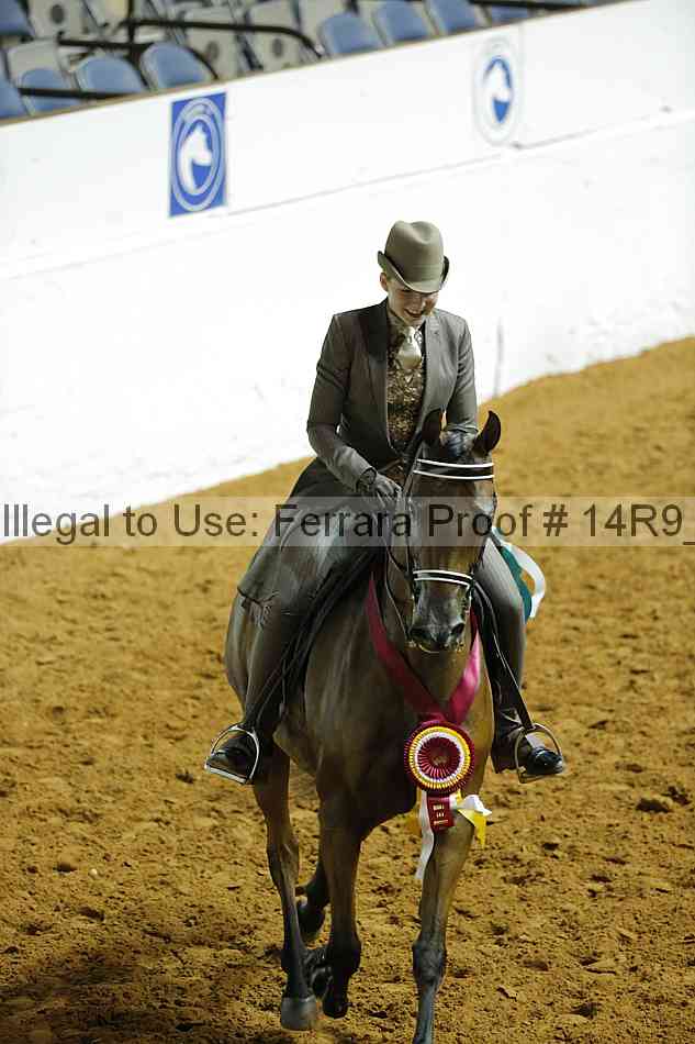 Proof 14r9_3715