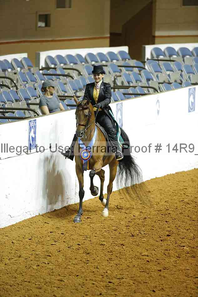 Proof 14r9_3720