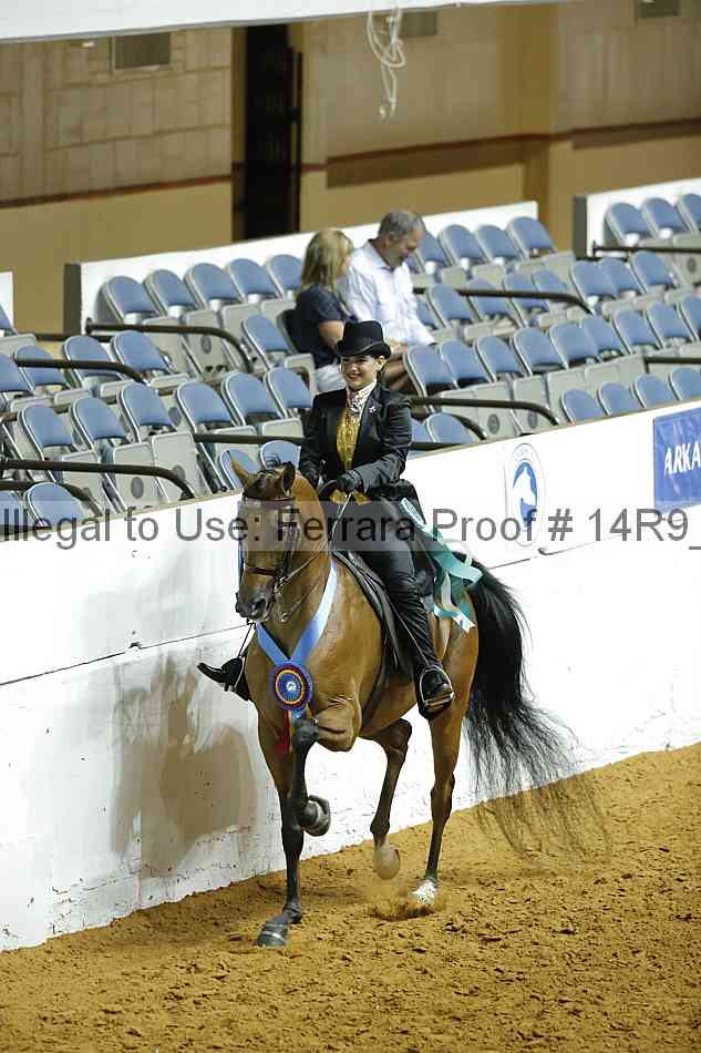 Proof 14r9_3722