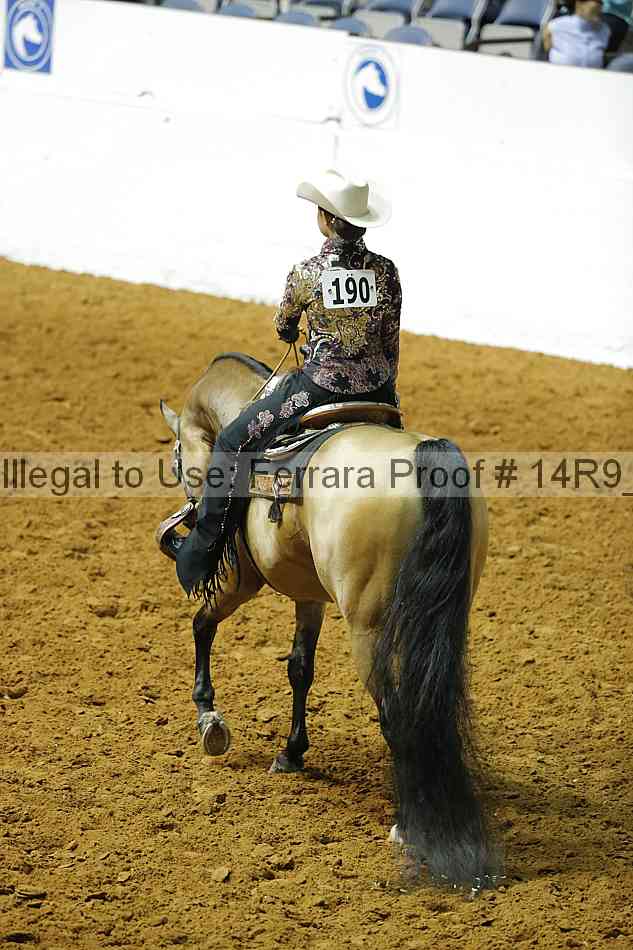 Proof 14r9_3733