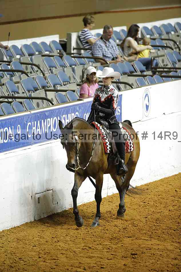 Proof 14r9_3738