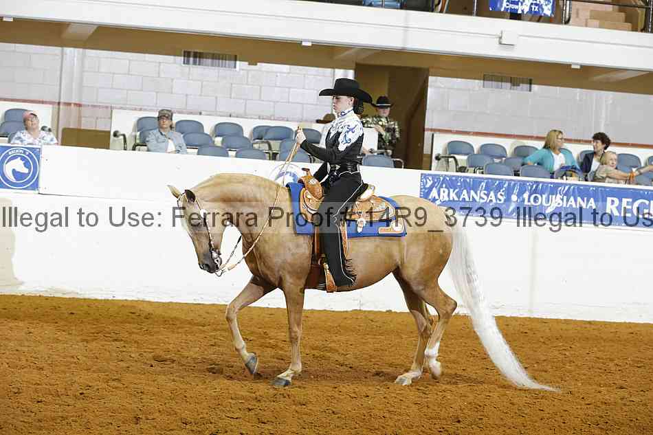 Proof 14r9_3739