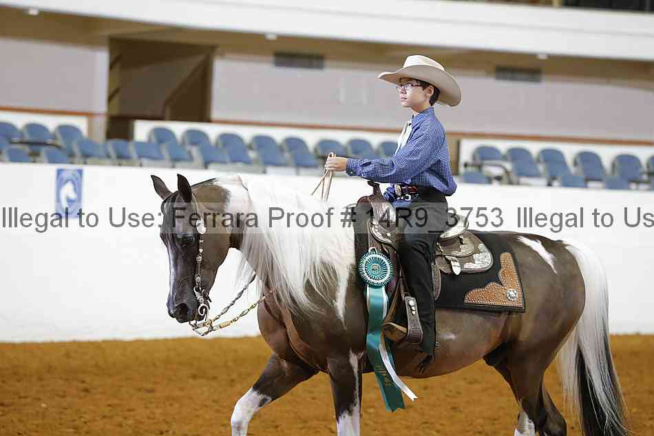 Proof 14r9_3753