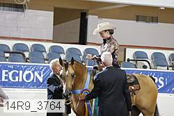 14r9_3764 proof