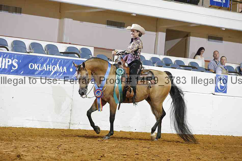 Proof 14r9_3783