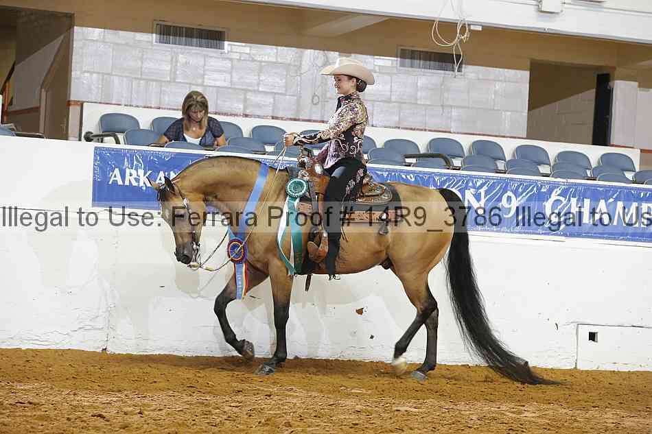 Proof 14r9_3786