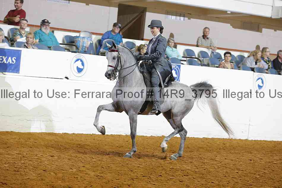 Proof 14r9_3795