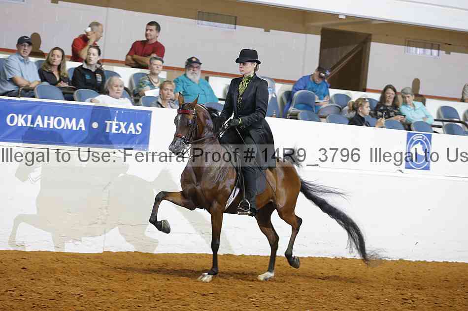 Proof 14r9_3796