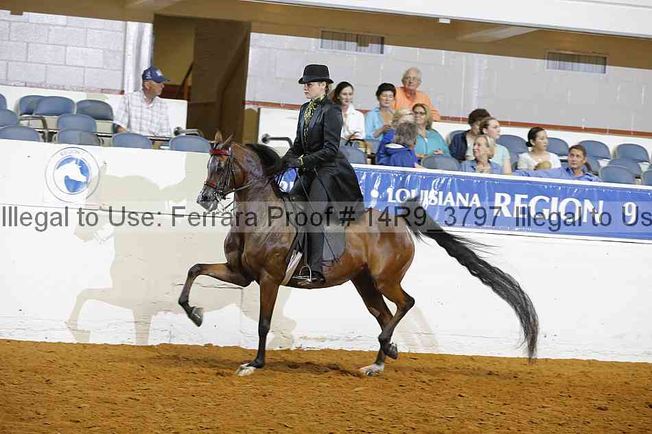 Proof 14r9_3797