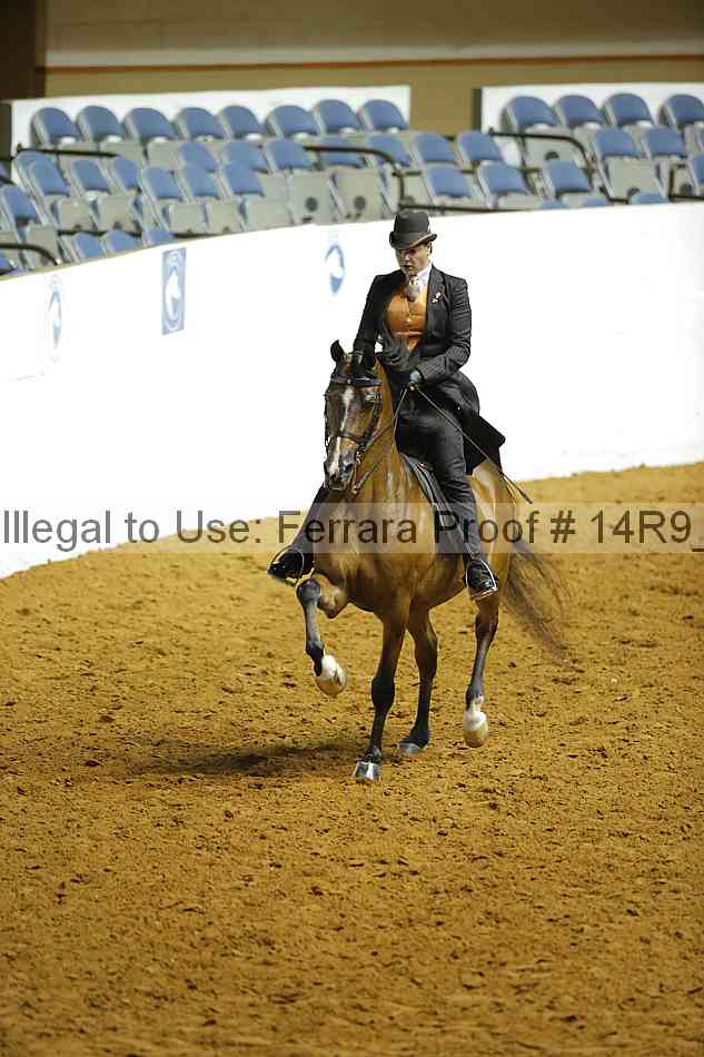 Proof 14r9_3798