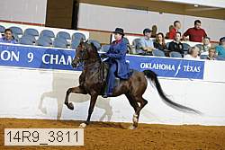 14r9_3811 proof
