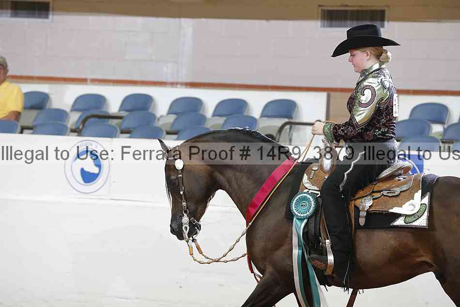 Proof 14r9_3879