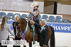 14r9_3882 proof