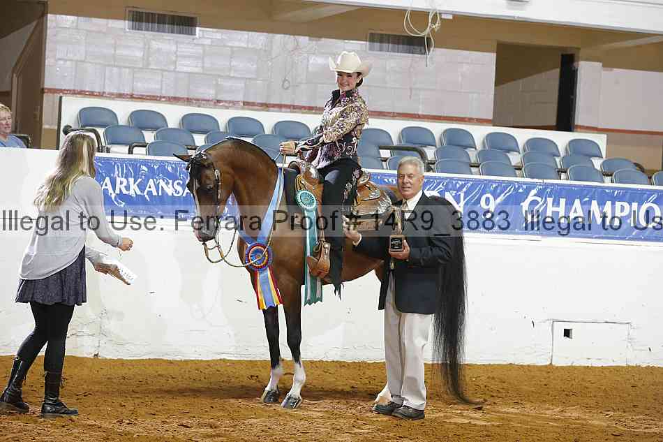 Proof 14r9_3883