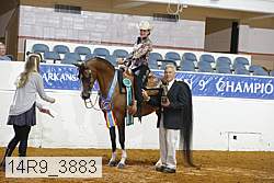14r9_3883 proof