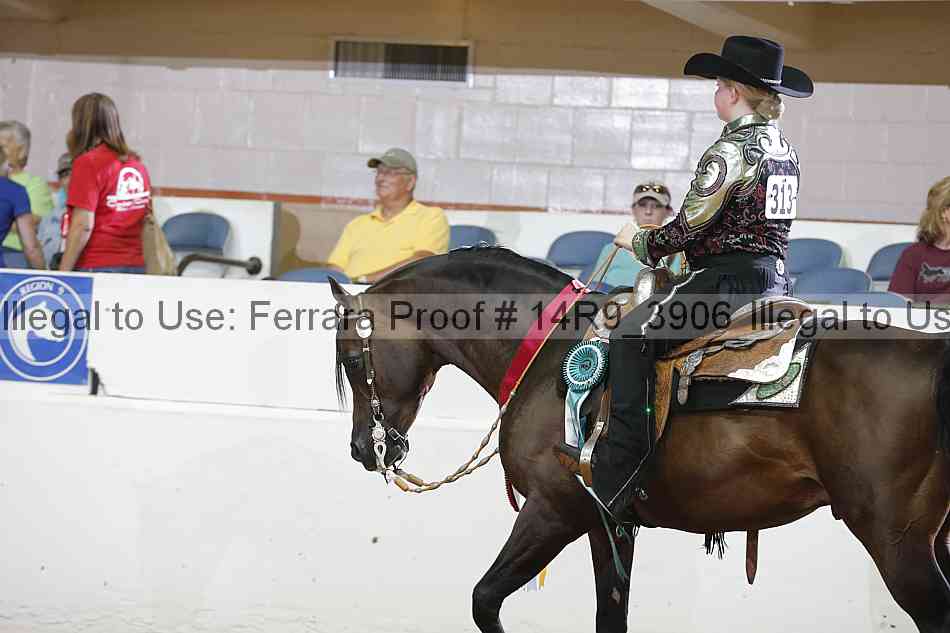 Proof 14r9_3906