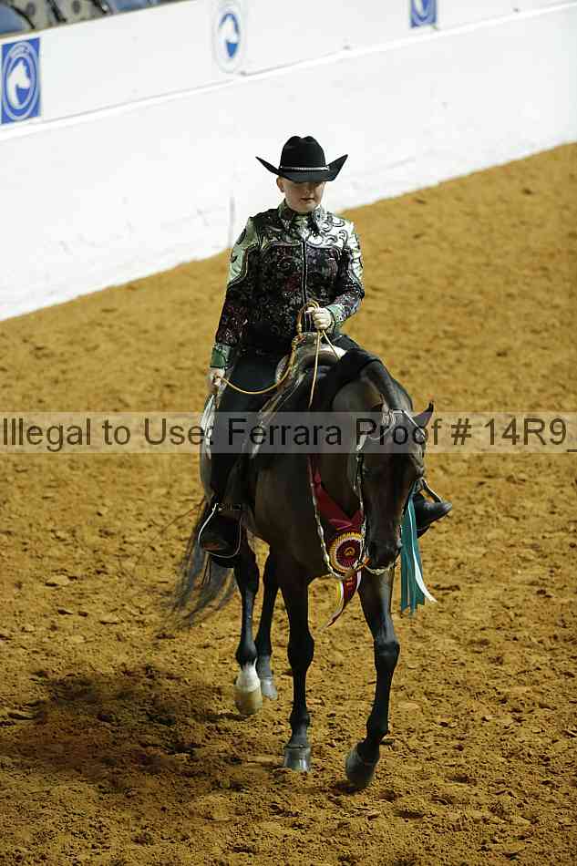 Proof 14r9_3909