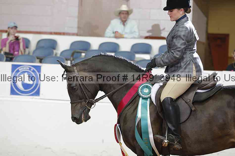 Proof 14r9_3948