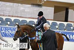 14r9_3951 proof