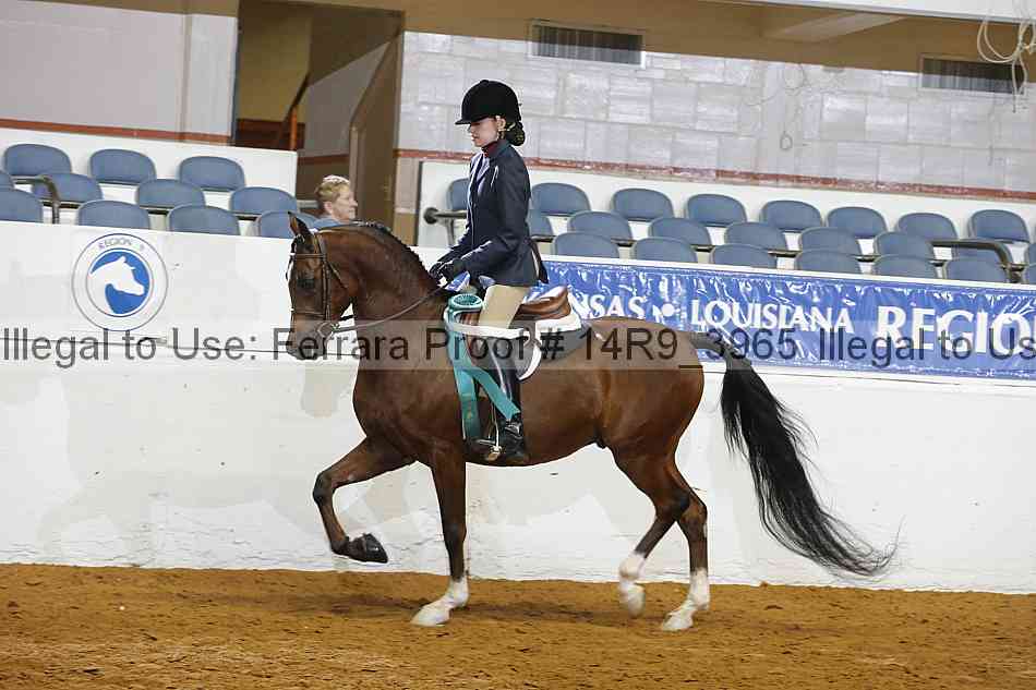 Proof 14r9_3965