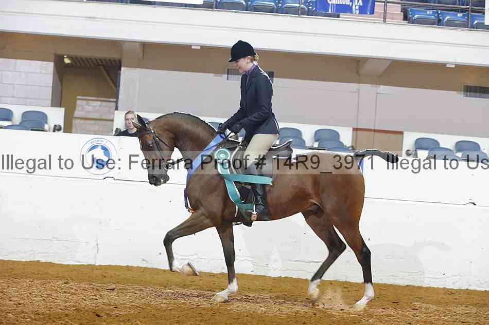 Proof 14r9_3971