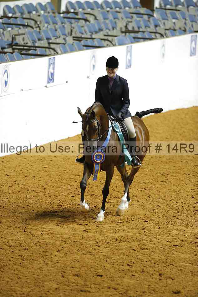 Proof 14r9_3973