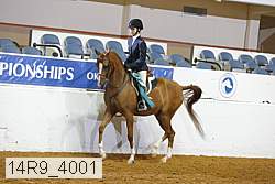 14r9_4001 proof