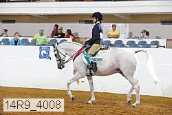 14r9_4008 proof