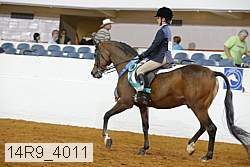 14r9_4011 proof
