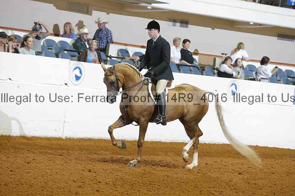 Proof 14r9_4016