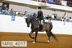 14r9_4017 proof
