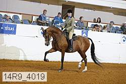 14r9_4019 proof
