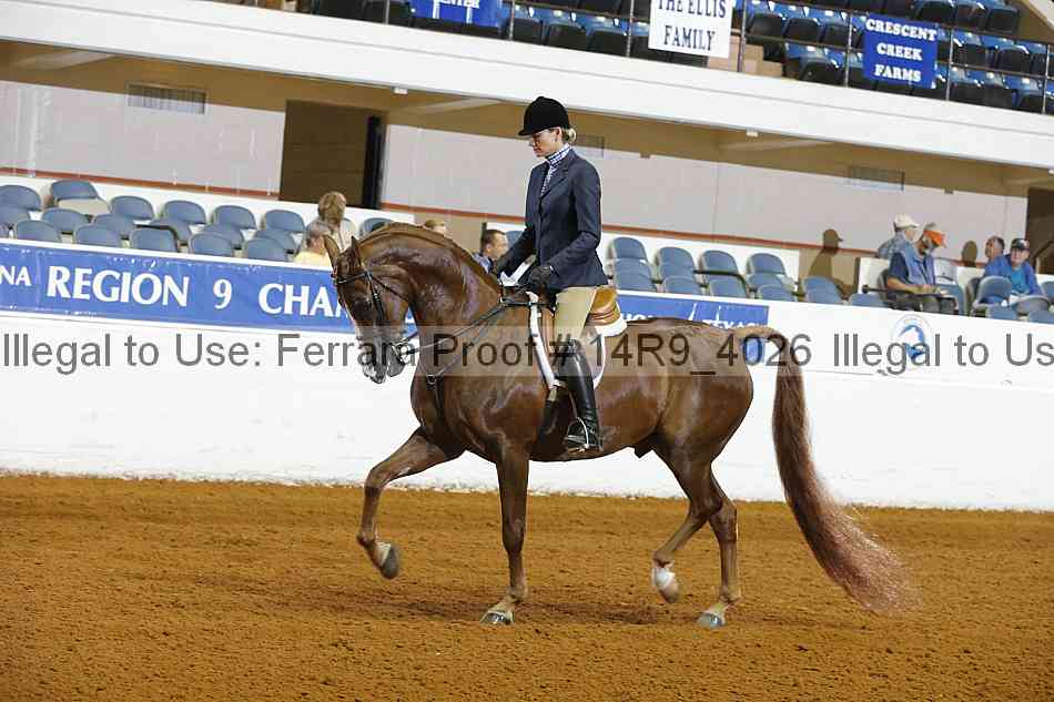 Proof 14r9_4026