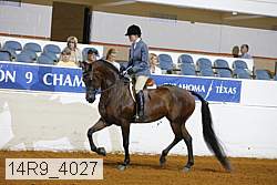 14r9_4027 proof