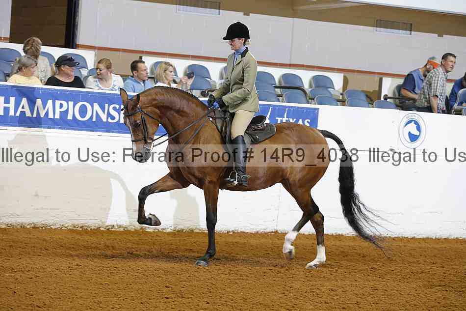 Proof 14r9_4038