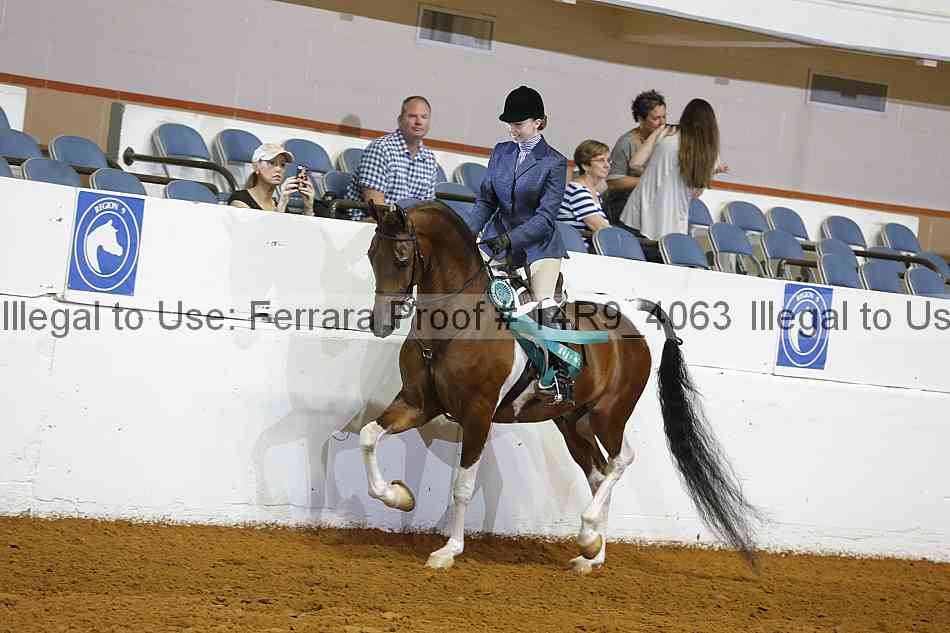 Proof 14r9_4063