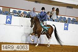 14r9_4063 proof