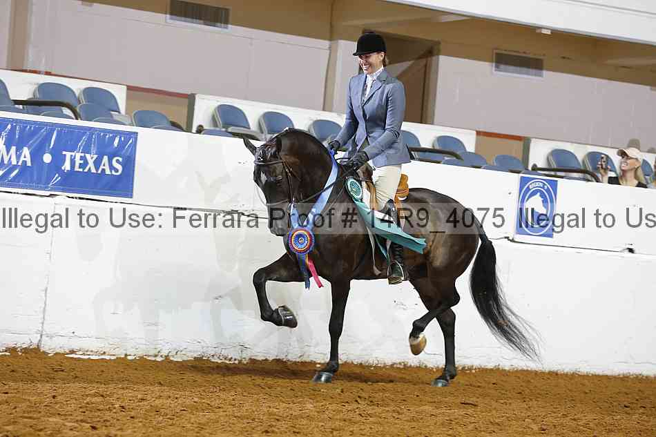 Proof 14r9_4075