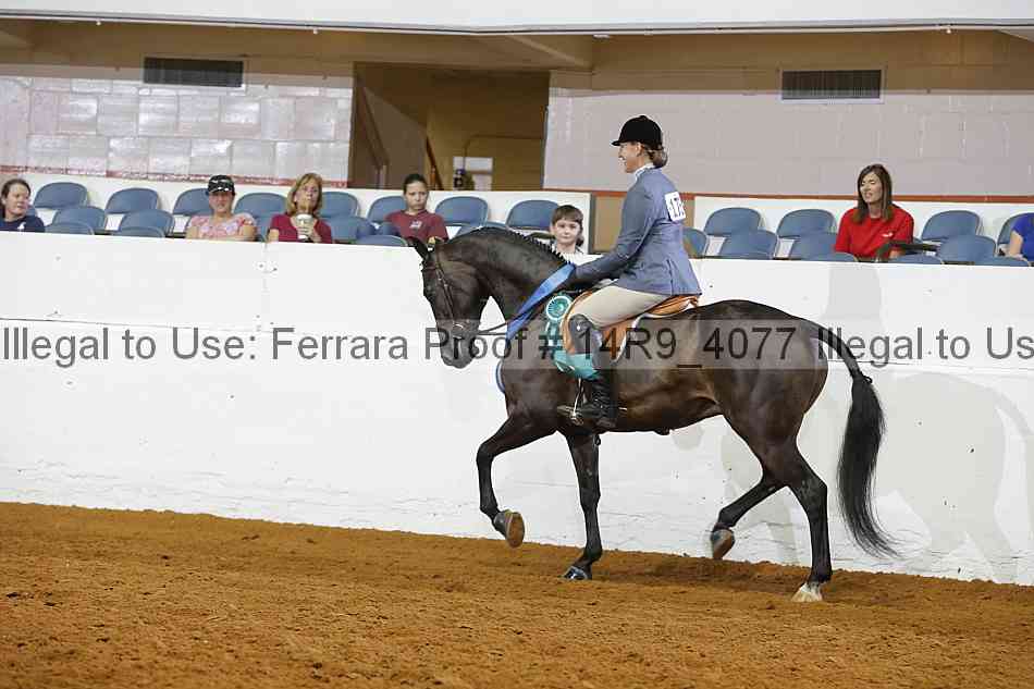 Proof 14r9_4077